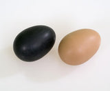 Schüttel-Eier-Lieferzeit: ca. 2-3 Monate