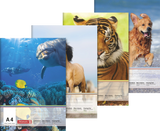 BRUNNEN Zeichenblock A4 10 Blatt