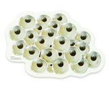 Magnetischer Lebenszyklus Frosch-Lieferzeit: ca. 2-3 Monate