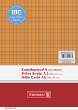 BRUNNEN Karteikarten A6 kariert